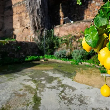 Caleros 34 Centro Historico Con Patio By Keyhom * Caces