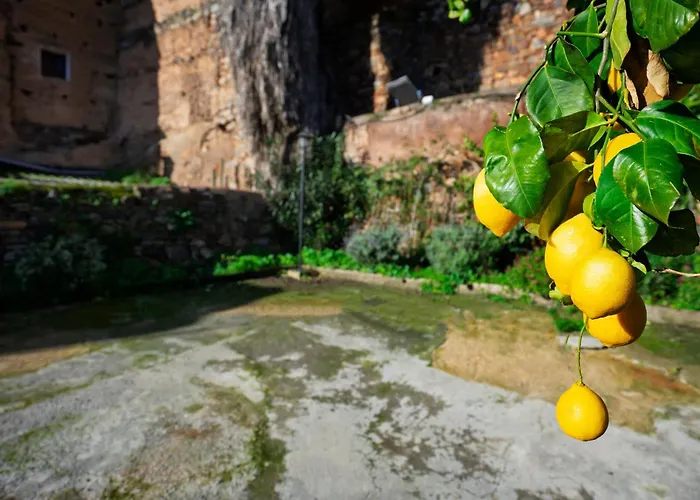 Caleros 34 Centro Historico Con Patio By Keyhom * Caces